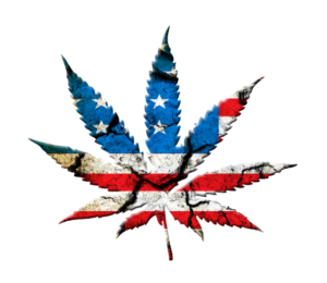 USA Marijuana