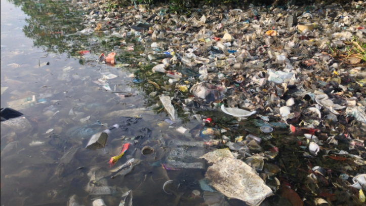 Plastic and polystyrene pollution