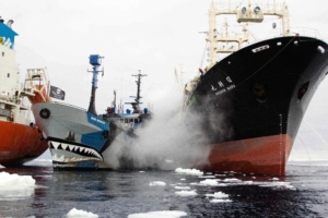 SSS Bob Barker disrupting Japanese whale poachers in Southern Ocean Whale Sanctuary