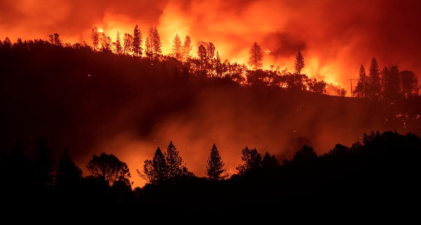 Extinction - California's Camp Fire