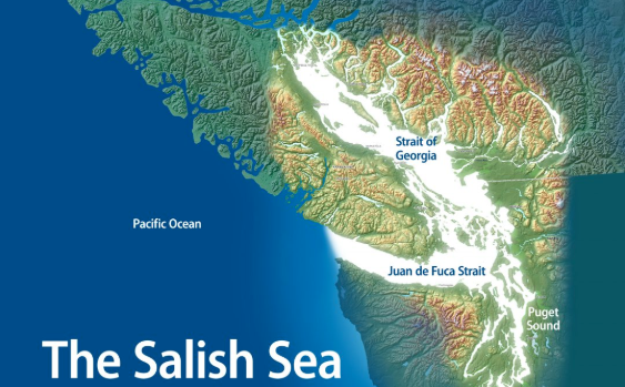 Starving Orcas - Salish Sea Map
