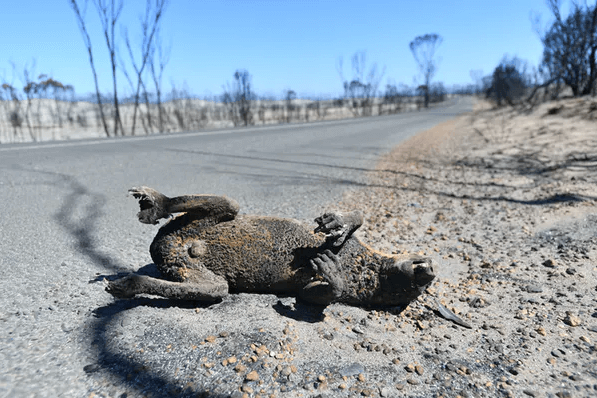 Australia Floods