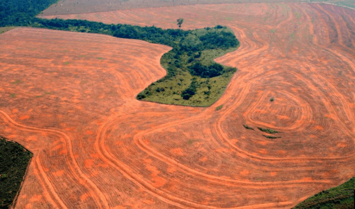 Fossil Fuels and Deforestation