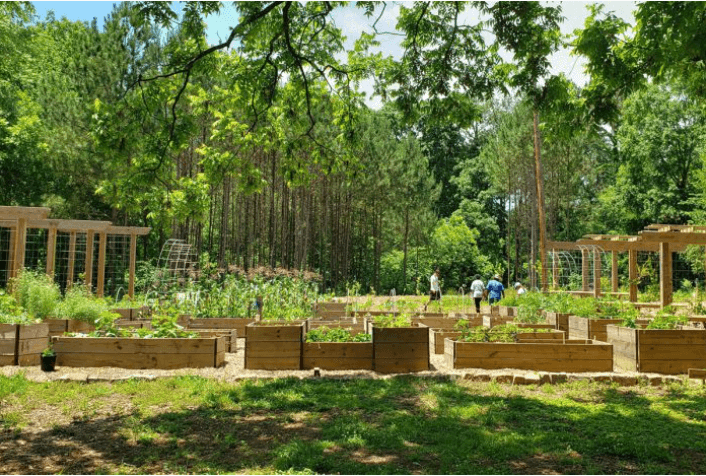 Community Food Forests