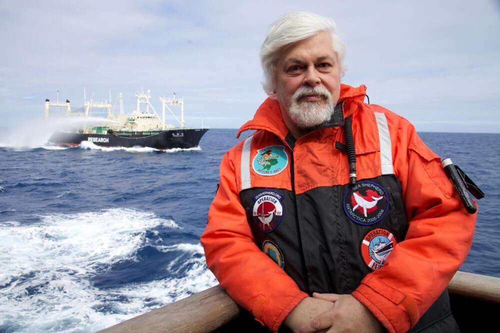 Setting The Record Straight Captain Paul Watson s Departure From The 